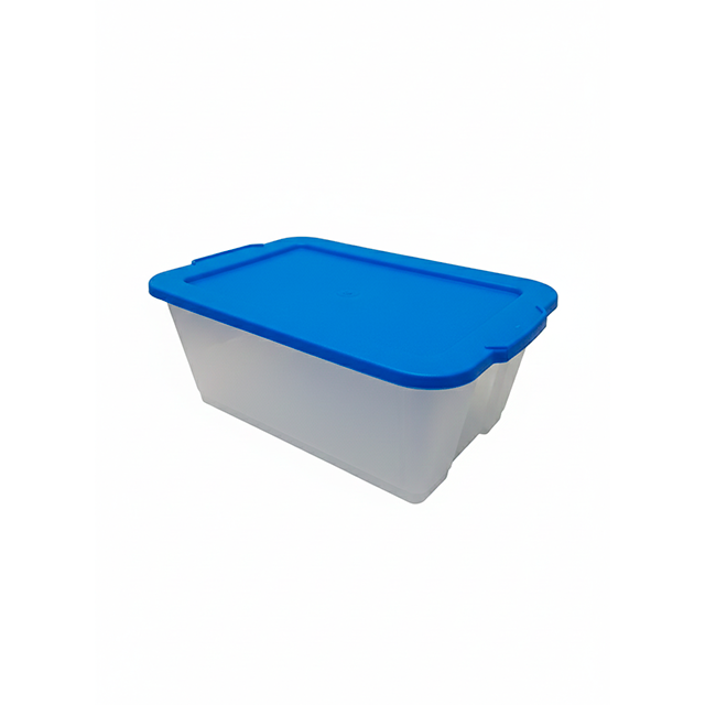 CAJA PLAS 10 LT TR SPARTA 0210