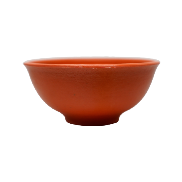 TAZON PLAS 2 COLOR BARRO MED 175